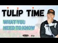 TULIP TIME Holland MI Top Things To Do Places To Go