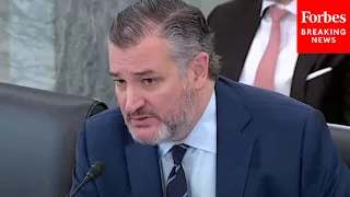 Witness Tells Ted Cruz 'Shocking' Actions U.S. Can Take If It Finds Panama Has Violated Canal Treaty