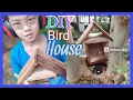 Download Lagu DIY Rumah Burung : Bird House Homemade by Kids 10years old