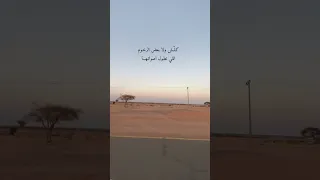 بعض العرب والله لا خليهم على دربي مطب 