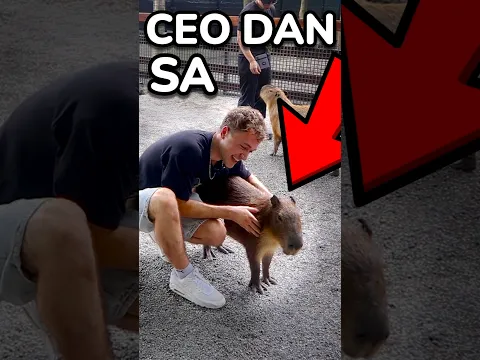Proveo sam CEO Dan sa Capybarom!