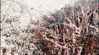 صيد السمان دندنها