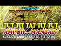 Download Lagu TITTATITTUT SUARA PIKAT BURUNG MANDAR/PELAN/DER/ALISAN/MOORHENS BIRD/DUSKY/COMMON MOORHENS/GALLINULA