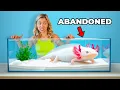 I Rescued an Abandoned Axolotl