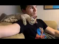 Download Lagu Ketika Suamimu Sekarang Milik Kucing! 😸 Kucing Lucu dan Manusia 2025