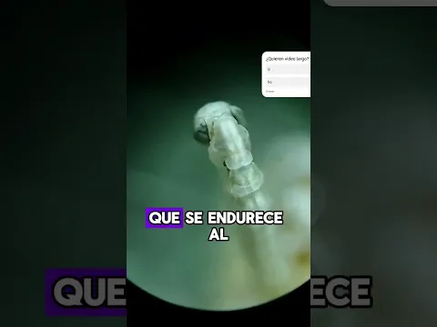 Así es como nacen las Mantis Religiosas bajo el microscopio