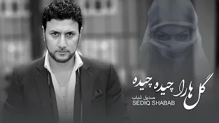                                        صدیق شباب   گل ها را چیده چیده دندنها