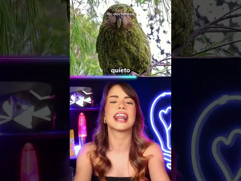 los animales MÁS TONTOS