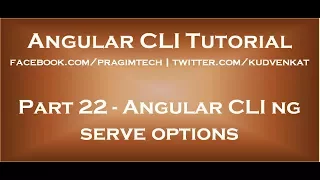 Angular cli ng serve options