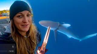 A Shark Tried to EAT Tim! Tools down for a SPEAR , Cray Catch n Cook & Renaming Ceremony  Ep.15