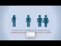 Pneumococcus Bacteria