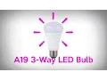 3 Way LED Bulb - LED vs Incandescent 3-Way Light Output