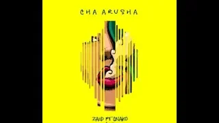 zaiid ft g nako cha arusha official music video 