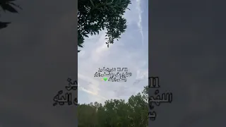 تاريخ مميز 11 11 