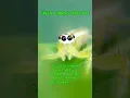 Green Jumping Spider Bite