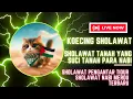 Download Lagu Koecing Sholawat Tanah Yang Suci Tanah Para Nabi Penenang Hati dan PikiranSholawat Pengantar Tidur