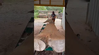 Sawmilling a local elm log and transforming them into live edge slabs to build furniture