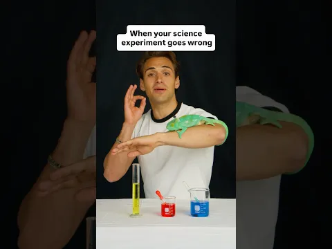 When your science experiment goes wrong