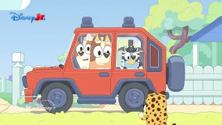 Bluey | Macacões