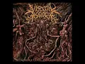 visceral disgorge - sedated and amputated