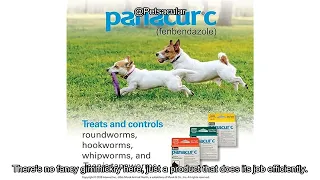 Panacur C Canine Dewormer Review Is It Worth the Investment for Your Dog s Health
