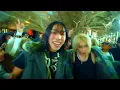 vividboooy - Trend Killer feat. (sic)boy [Official Video］