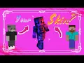 What Your Minecraft Skin Says About YOU BY A SKIN ARTIST