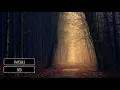 NTO - Invisible