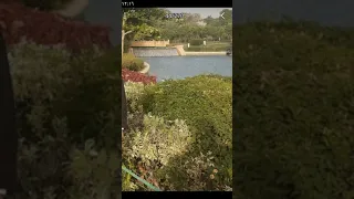رائعه الطاروطي ف سوره النور  رائعه الطاروطي ف سوره النور