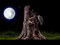 Beautiful Tree Trunk Effect Black Screen Template Background With Singing Bird