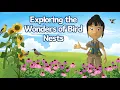 A WonderGrove for Birds Exploring the Wonders of Bird Nests