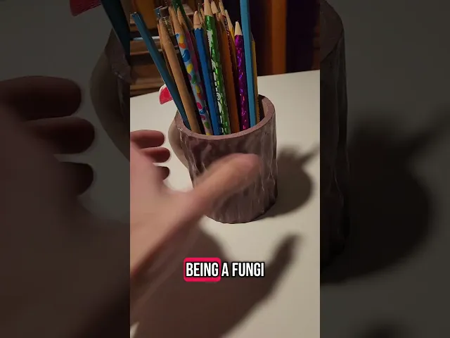 Fungi Mug video thumbnail