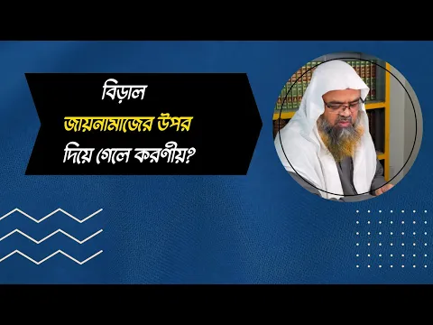 প্রশ্ন : বিড়াল জায়নামাজের উপর দিয়ে গেলে করণীয়?