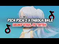 Download Lagu DJ PICA PICA V2 X TABOLA BALE RIMEX SOUND VIRAL DI TIKTOK 2025🎧