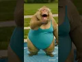 Download Lagu fat monkey + pool = soaked body 😂