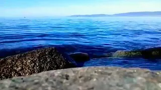 اغنية عمرو دياب وانت معايا ميشغلنيش الناس 