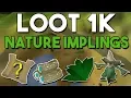 Loot from 1000 Nature Impling Jars Can You Make Money Opening Nature Impling Jars OSRS