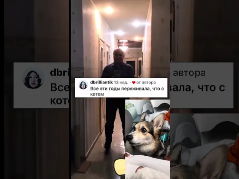 Эти видео должны быть в музее 1 из 10 #funny #корж #суперсобака