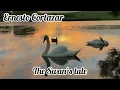 Download Lagu Ernesto Cortazar. The Swan’s tale #classicalmusic #ernestocortazar 