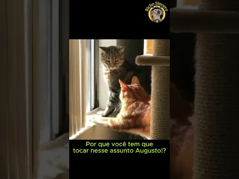 Invadindo o ESPAÇO PESSOAL ✋😾