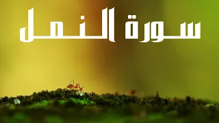 Surah An Naml Complete By Sheikh Muhammad Ubadah سورة النمل كاملة لشيخ محمد عبادة 