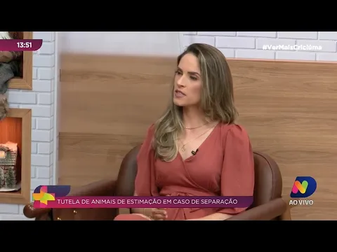 Entenda como fica a tutela de animais de estimação em caso de separação