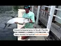 Florida ocean records unprecedented temperatures