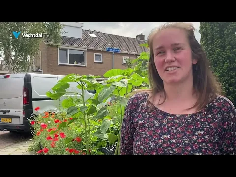 Plantenbieb in Dalfsen