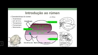 Análise do Fluido Ruminal