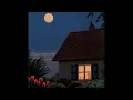 A quiet midnight playlist.