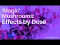Psychedelic Mushroom Doses Explained