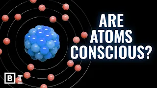Science is shattering our intuitions about consciousness | Annaka Harris