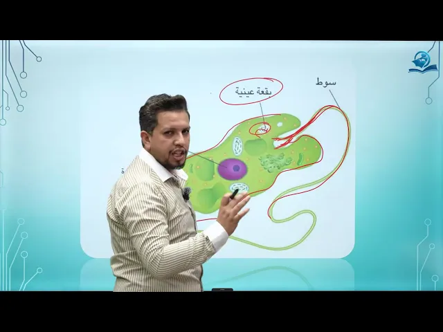 مادة الاحياء للصف الثاني المتوسط / الفصل الثالث / الدرس الأول/  مملكة الطليعيات - ج3  السوطيات