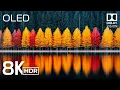 Lagu MOST SPECTACULAR VIEWS in 8K HDR 120fps | Dolby Vision™